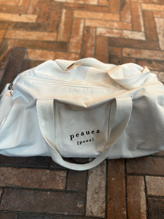 Everyday zipper bag